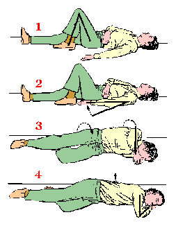 Position-de-survie.gif