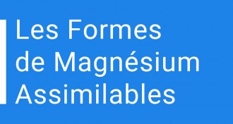 meilleur magnésium assimilable chlorure citrate